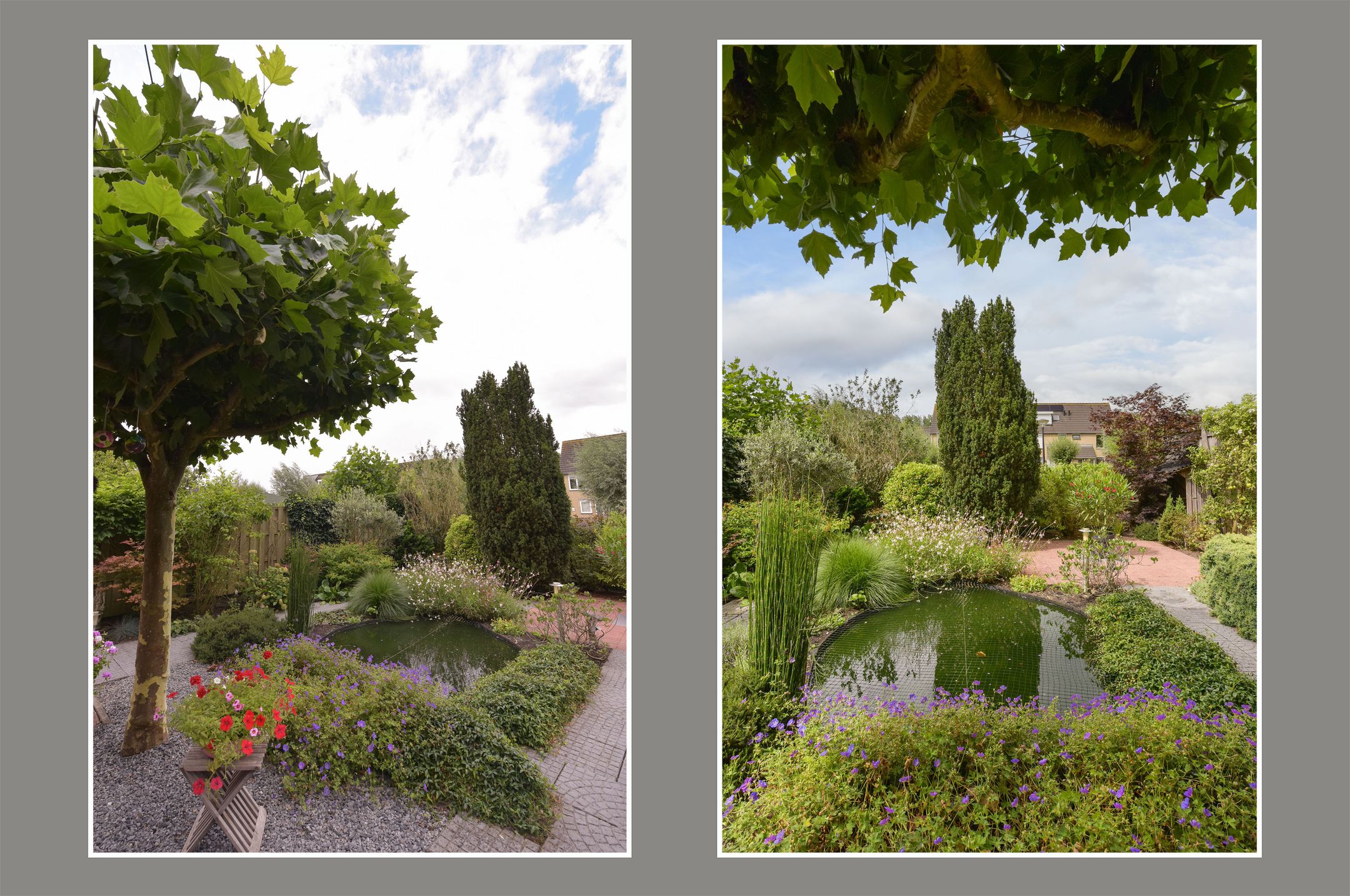 Foto 36 van Trilgras 6