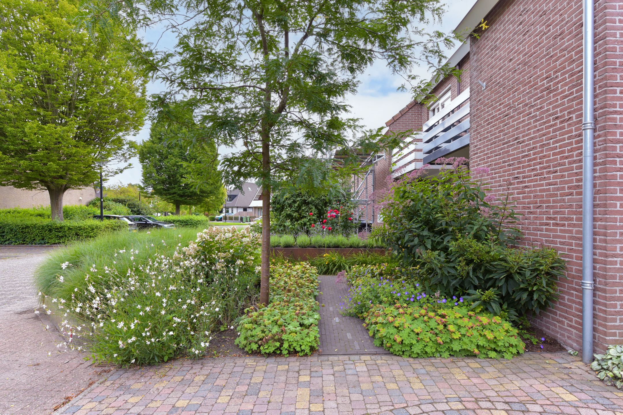 Foto 39 van Trilgras 6