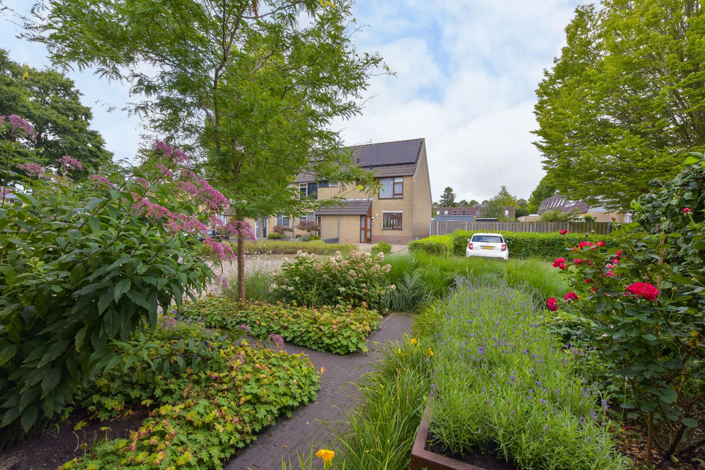 Foto 40 van Trilgras 6