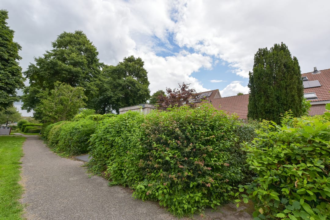 Foto 46 van Trilgras 6