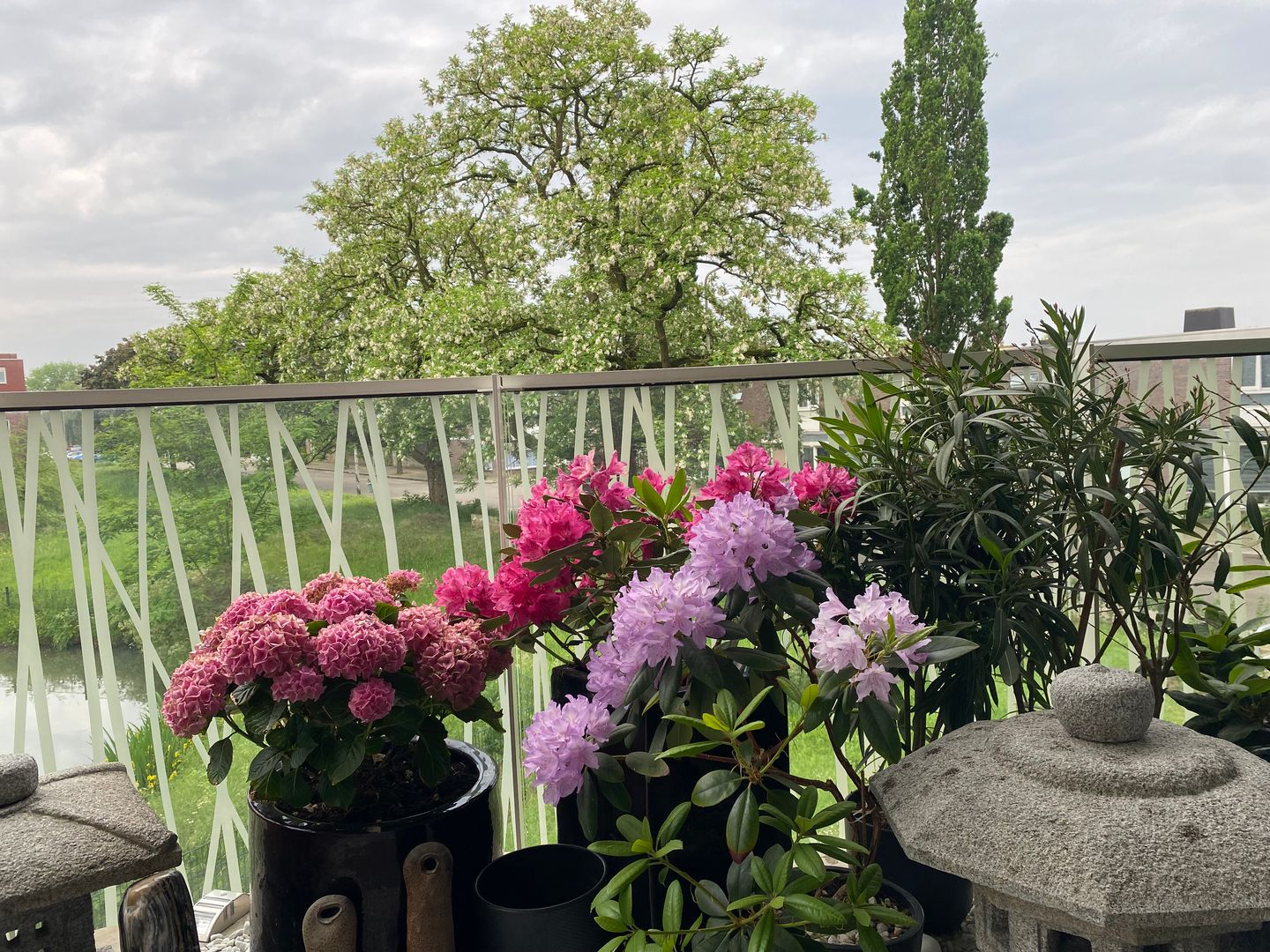 Foto 14 van Ruys de Beerenbrouckstraat 82