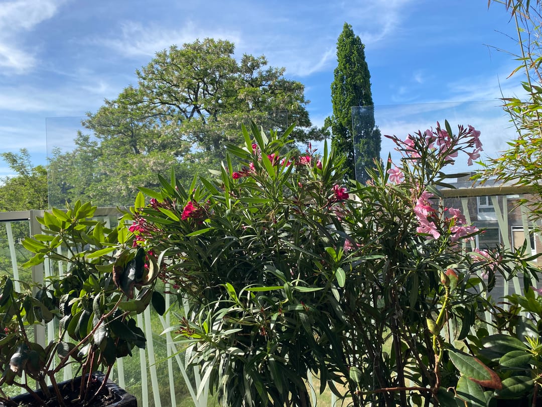 Foto 16 van Ruys de Beerenbrouckstraat 82