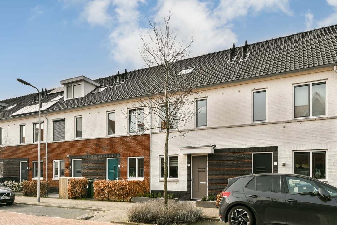 Photo 22 of Vuurvlinder 15