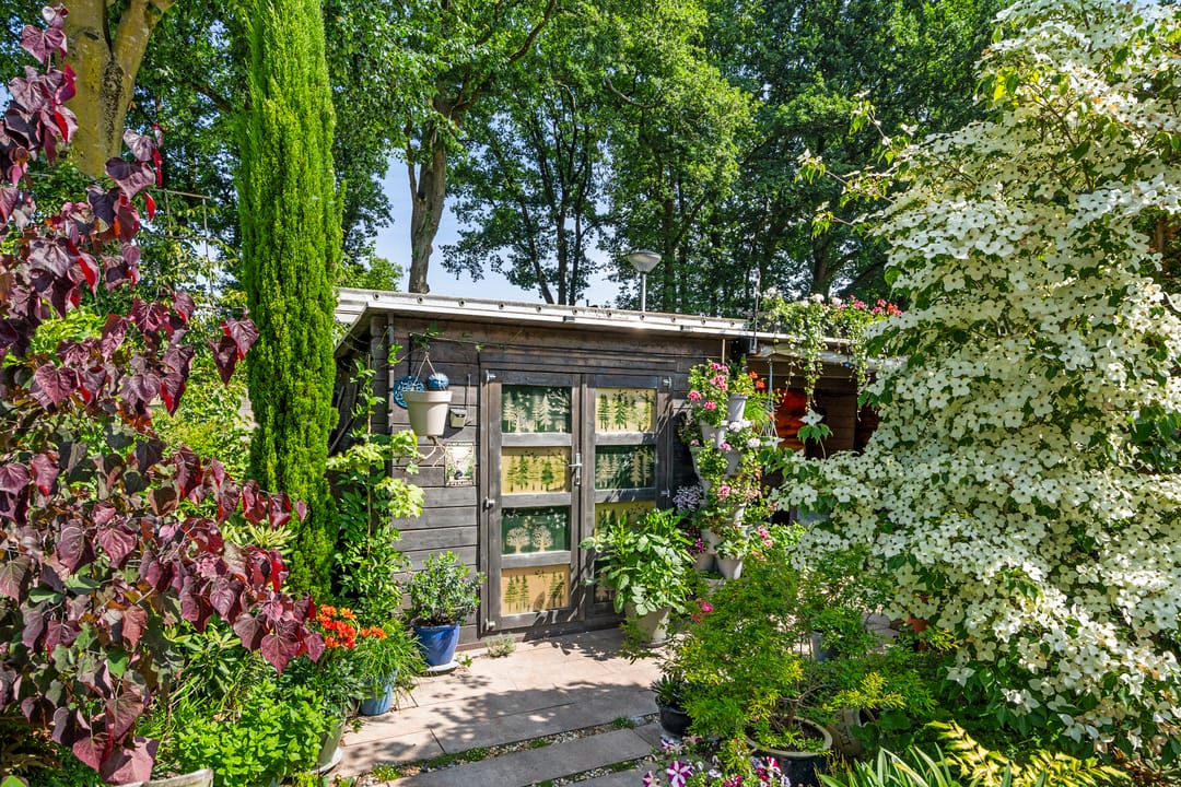 Foto 43 van De Zandhoek 2