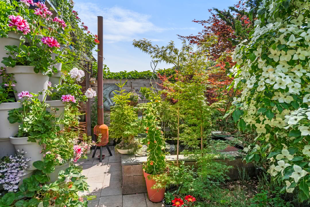 Foto 47 van De Zandhoek 2