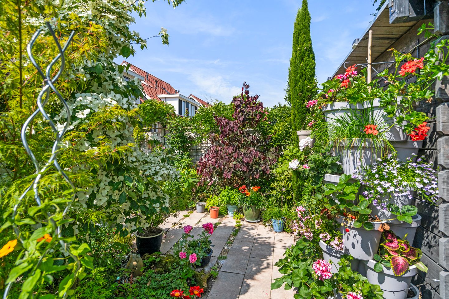 Foto 50 van De Zandhoek 2