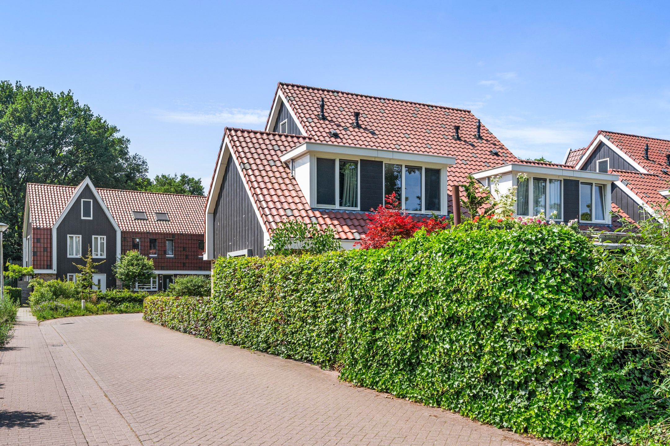 Foto 57 van De Zandhoek 2