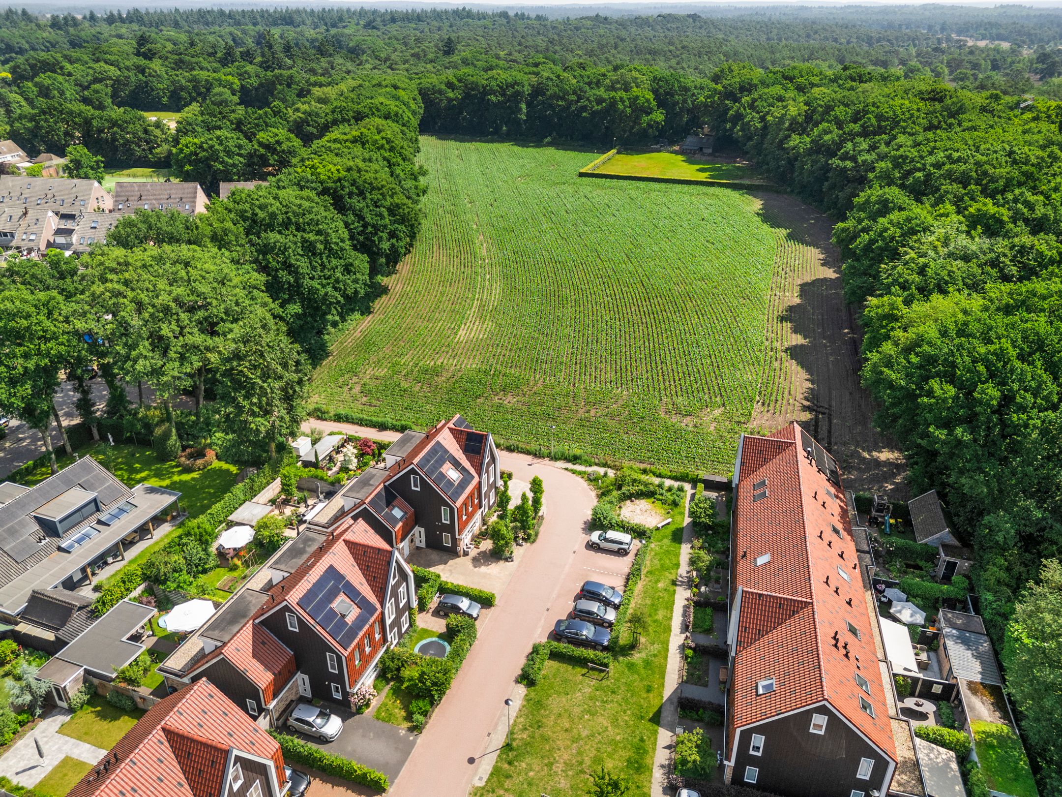 Foto 63 van De Zandhoek 2