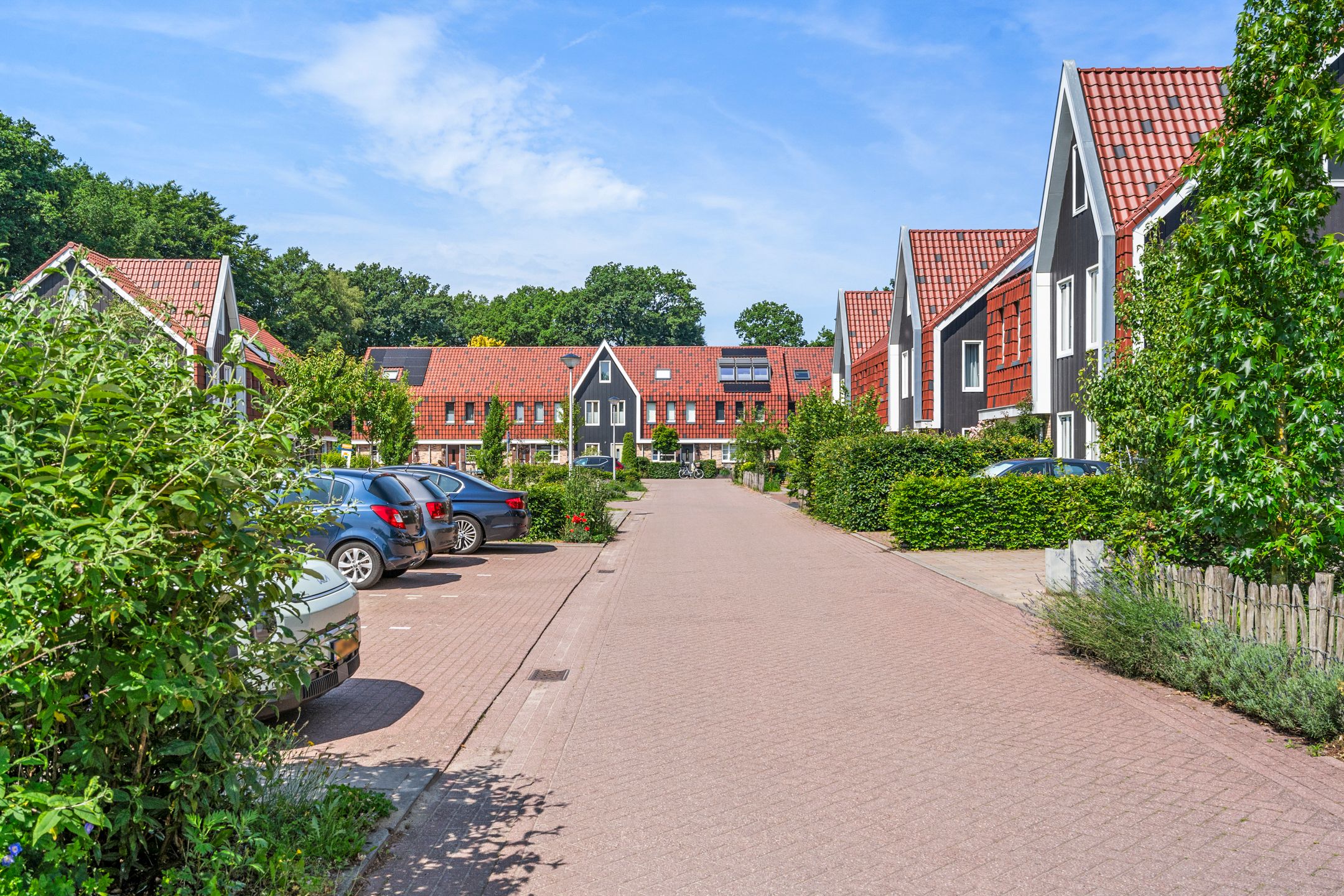 Foto 66 van De Zandhoek 2