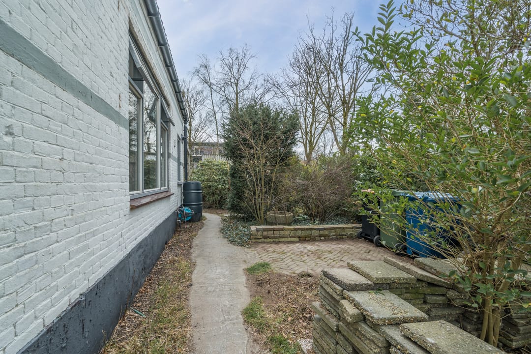 Foto 2 van Dovenetel 52