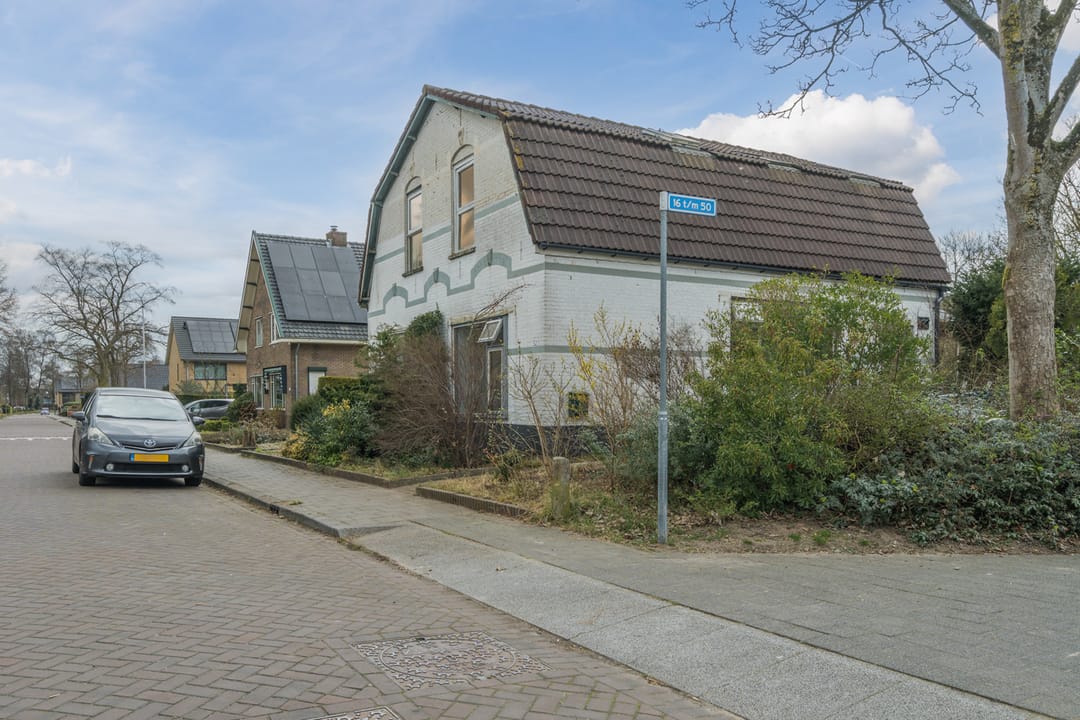 Foto 31 van Dovenetel 52