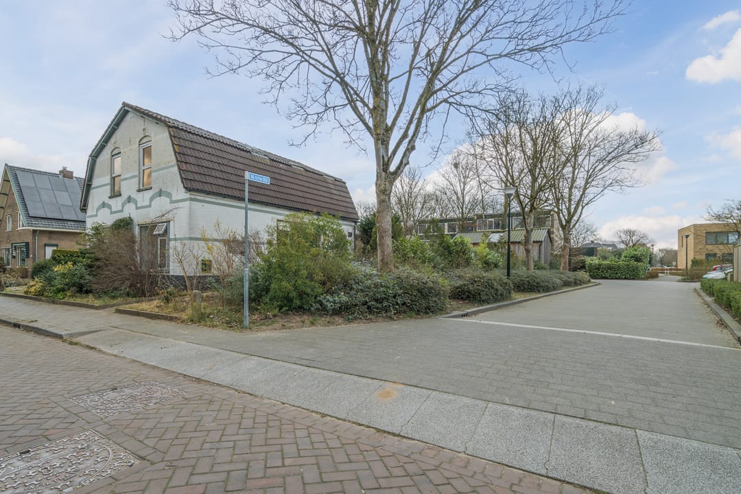 Foto 32 van Dovenetel 52