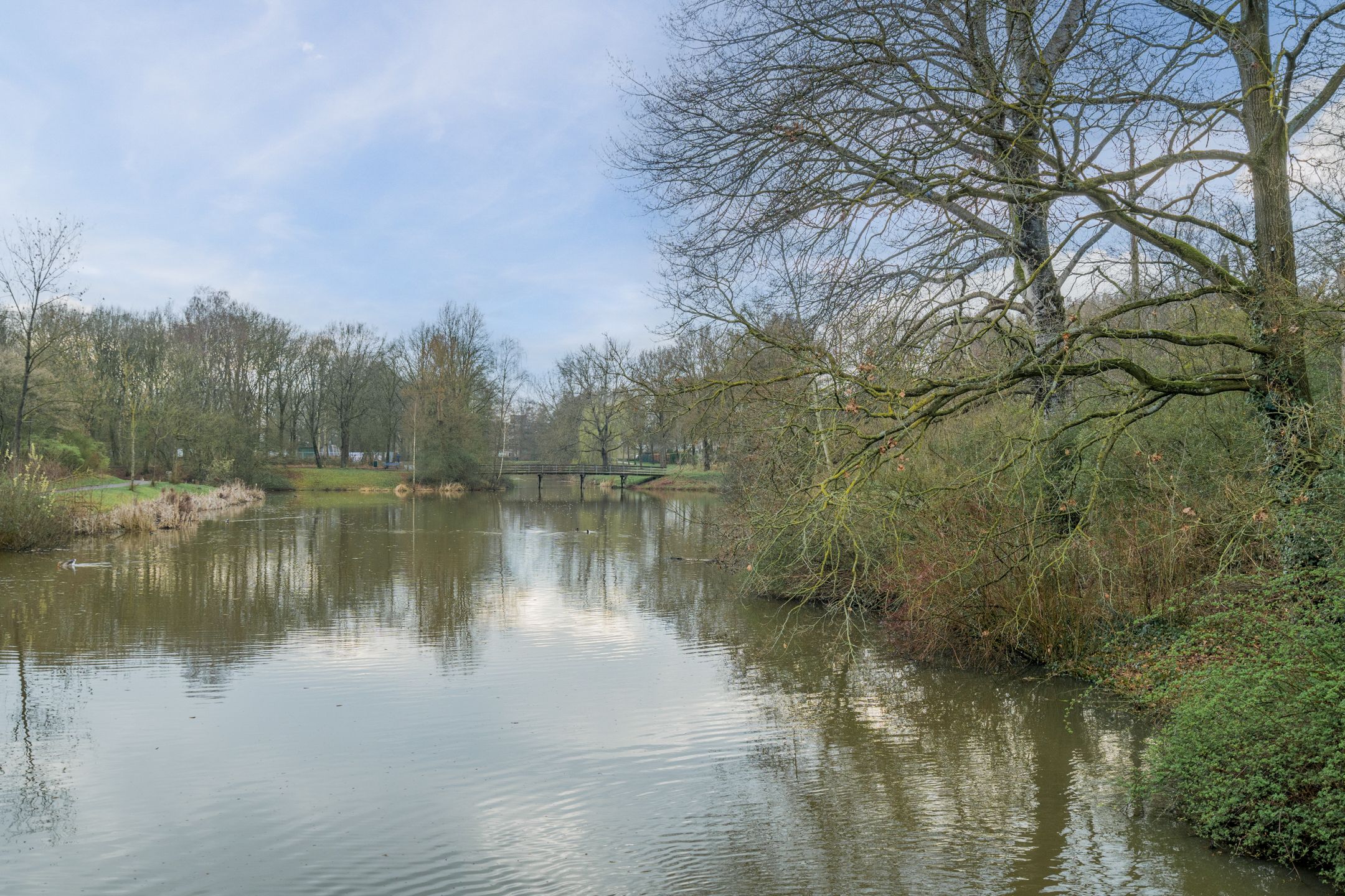 Foto 36 van Dovenetel 52