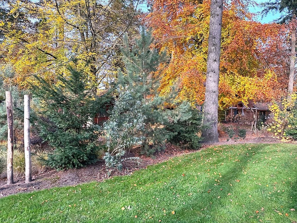 Foto 7 van Laan van Laag Kanje 1-R150