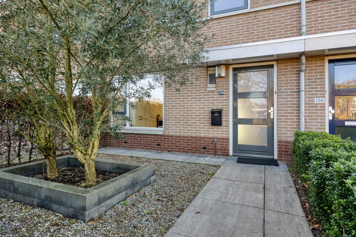 Photo 3 of Watertuin 290