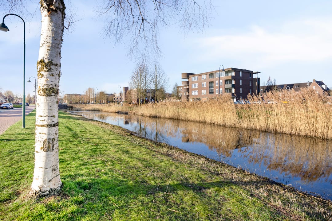 Photo 26 of Watertuin 290