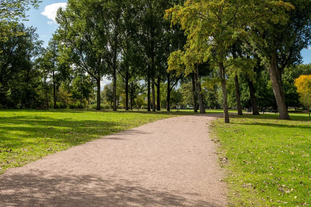 Foto 43 van Vechtstraat 149-2