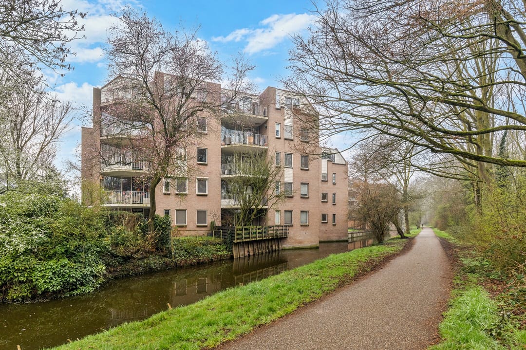 Foto 1 van Koraalzwam 187