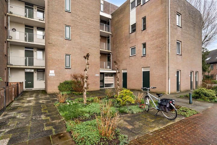 Foto 3 van Koraalzwam 187