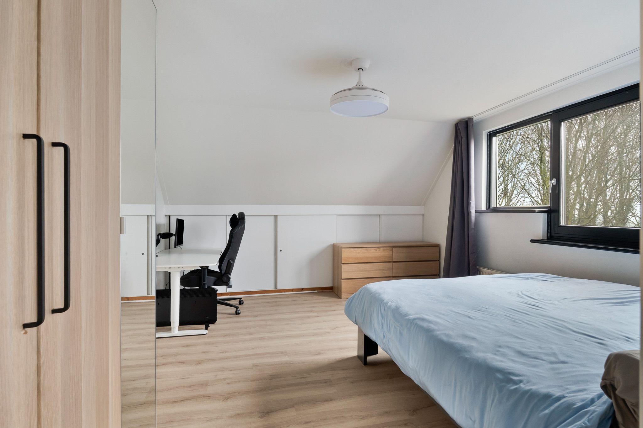 Foto 18 van Koraalzwam 187