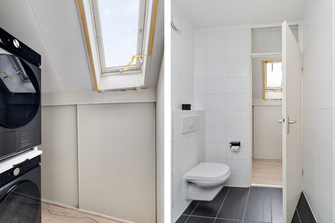 Foto 26 van Koraalzwam 187