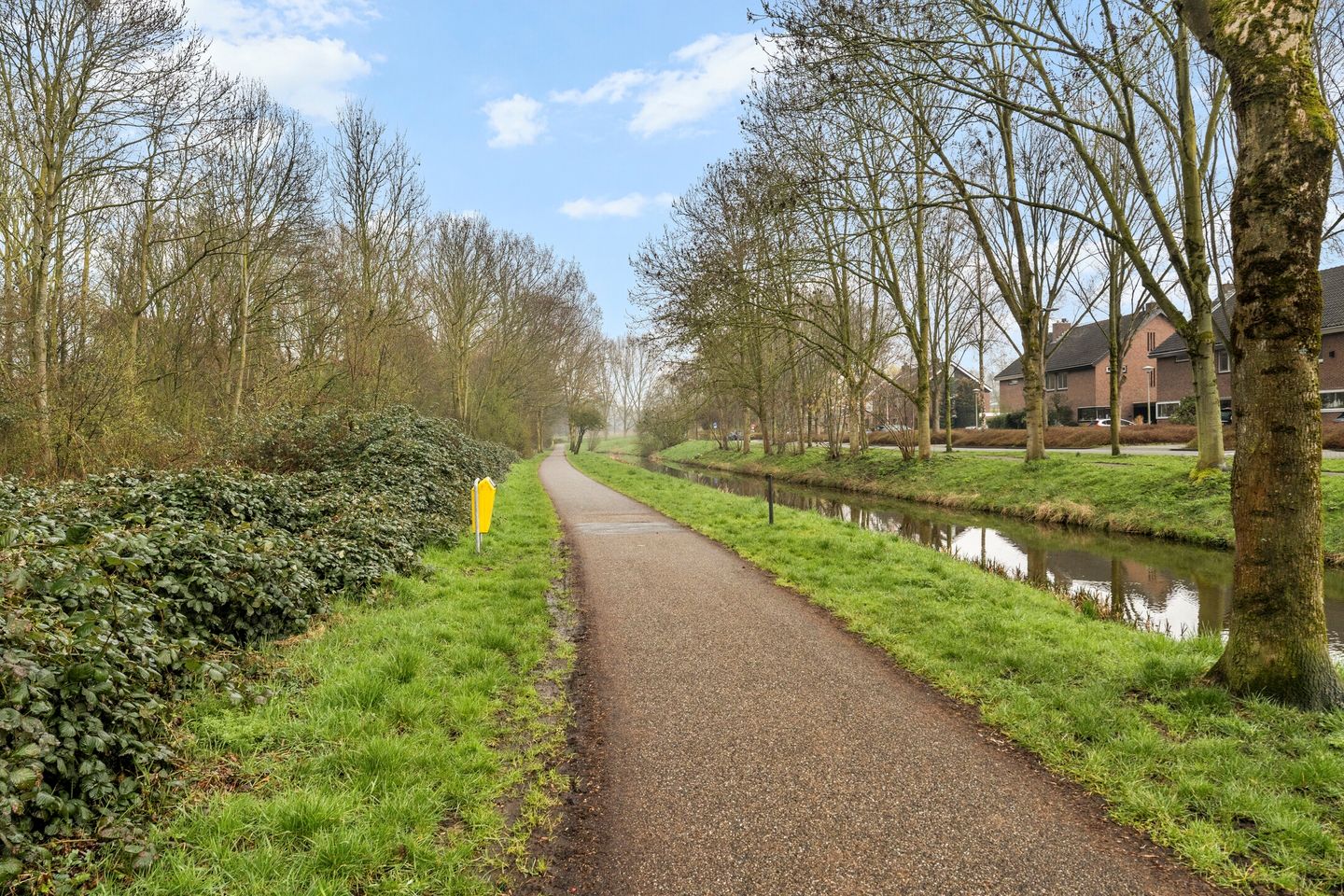 Foto 29 van Koraalzwam 187