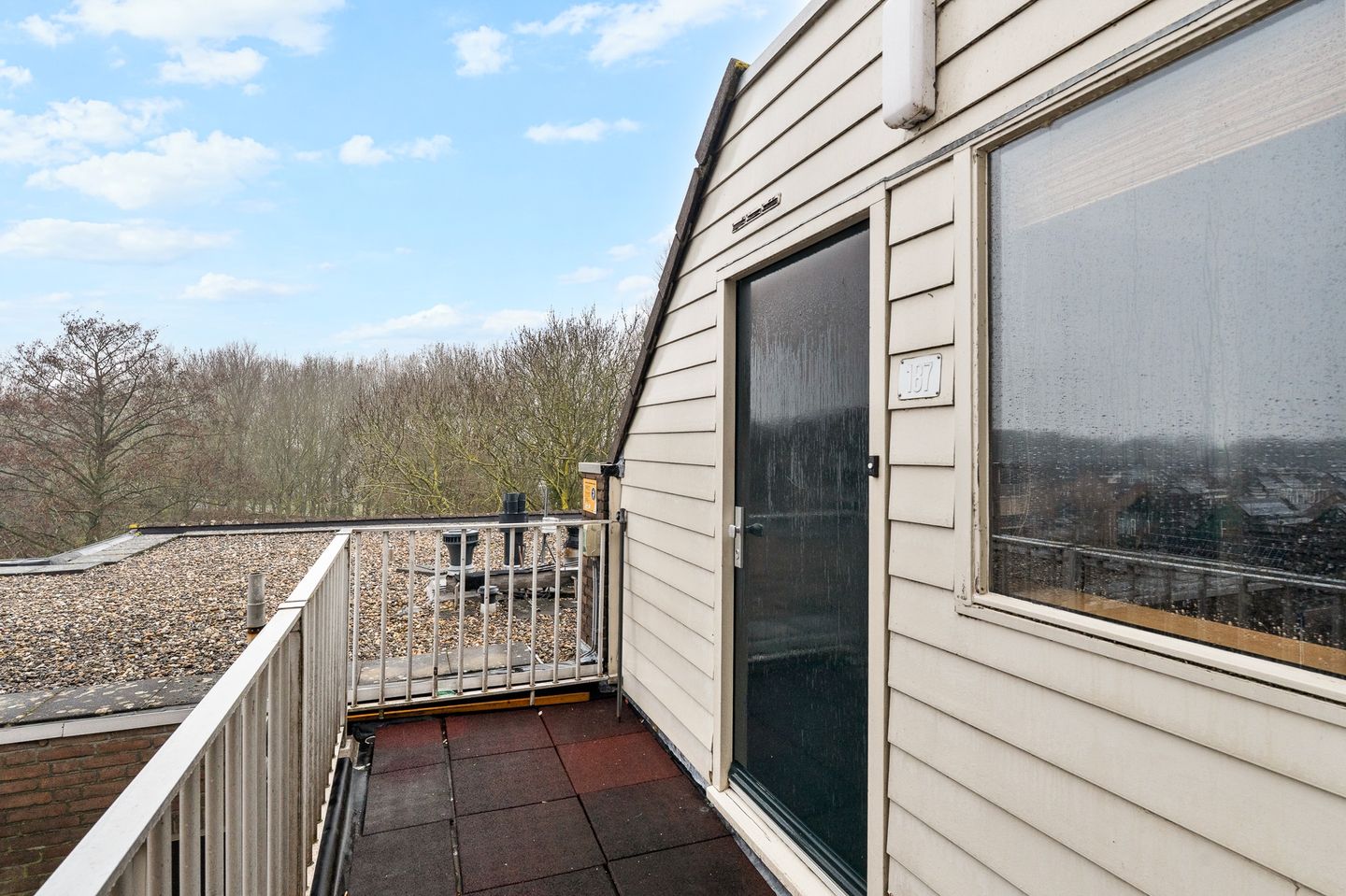 Foto 4 van Koraalzwam 187