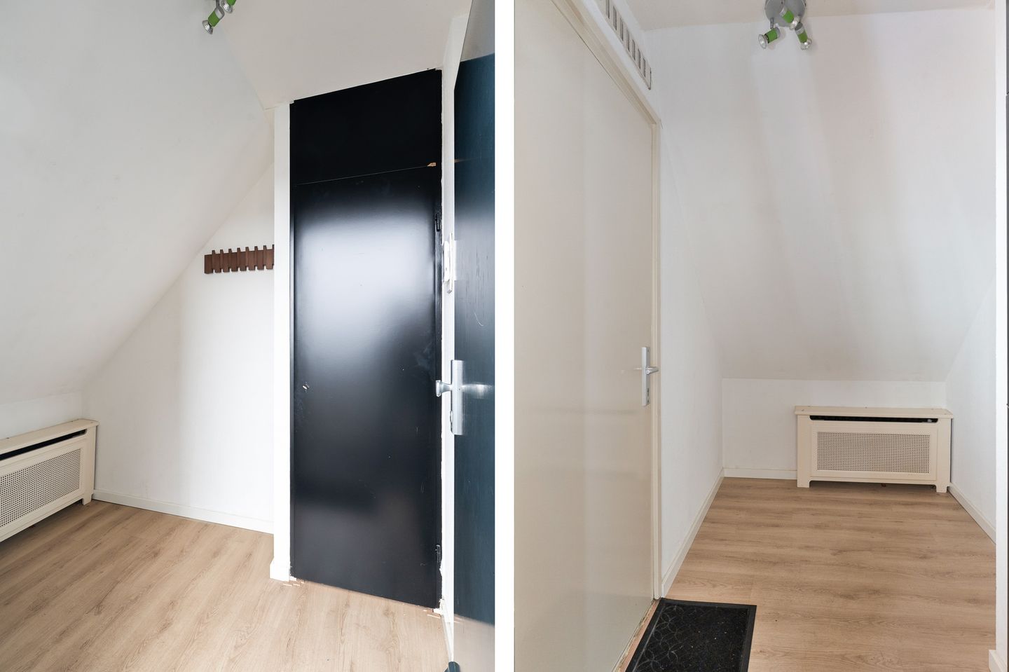 Foto 5 van Koraalzwam 187