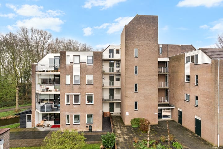 Foto 2 van Koraalzwam 187