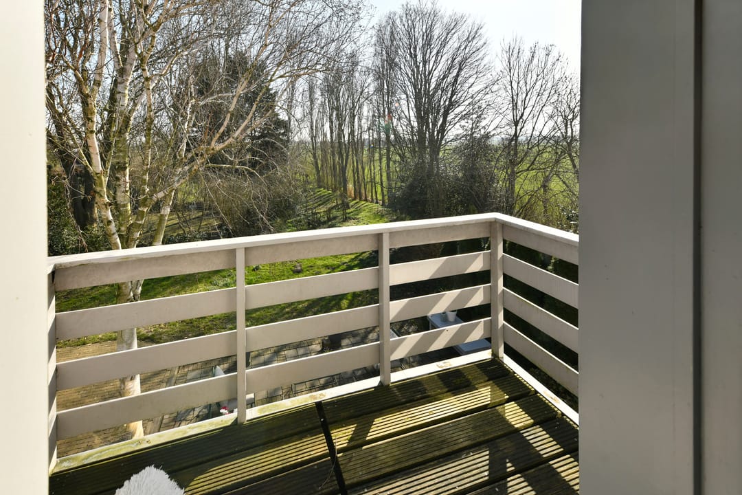 Blikvanger Dijk van een familiehuis aan open vaarwater met geweldig grote tuin — 35