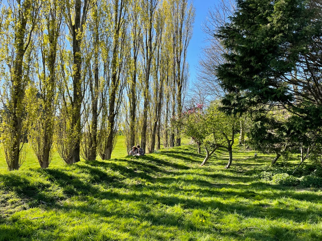 Blikvanger Dijk van een familiehuis aan open vaarwater met geweldig grote tuin — 44