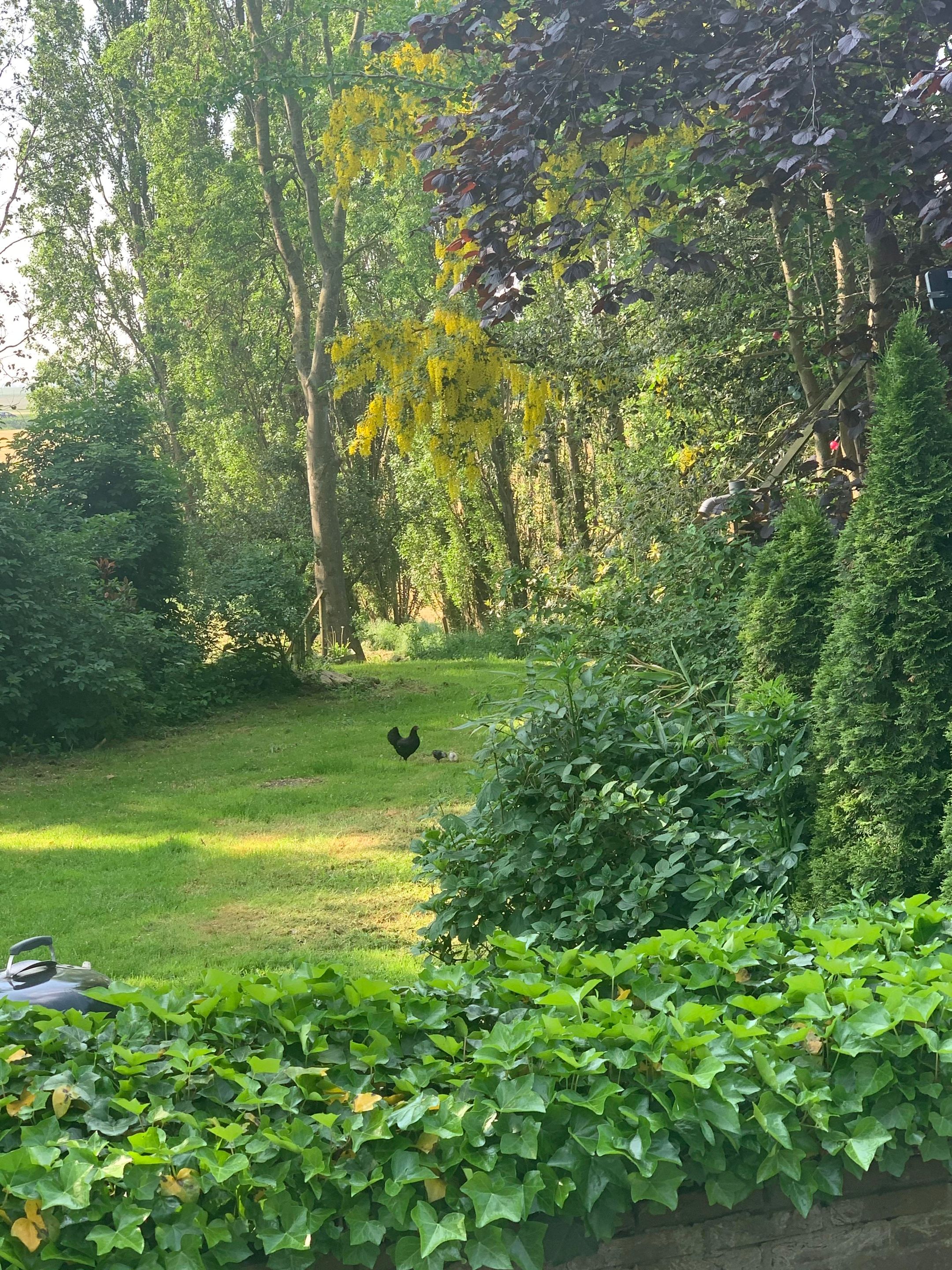 Blikvanger Dijk van een familiehuis aan open vaarwater met geweldig grote tuin — 45