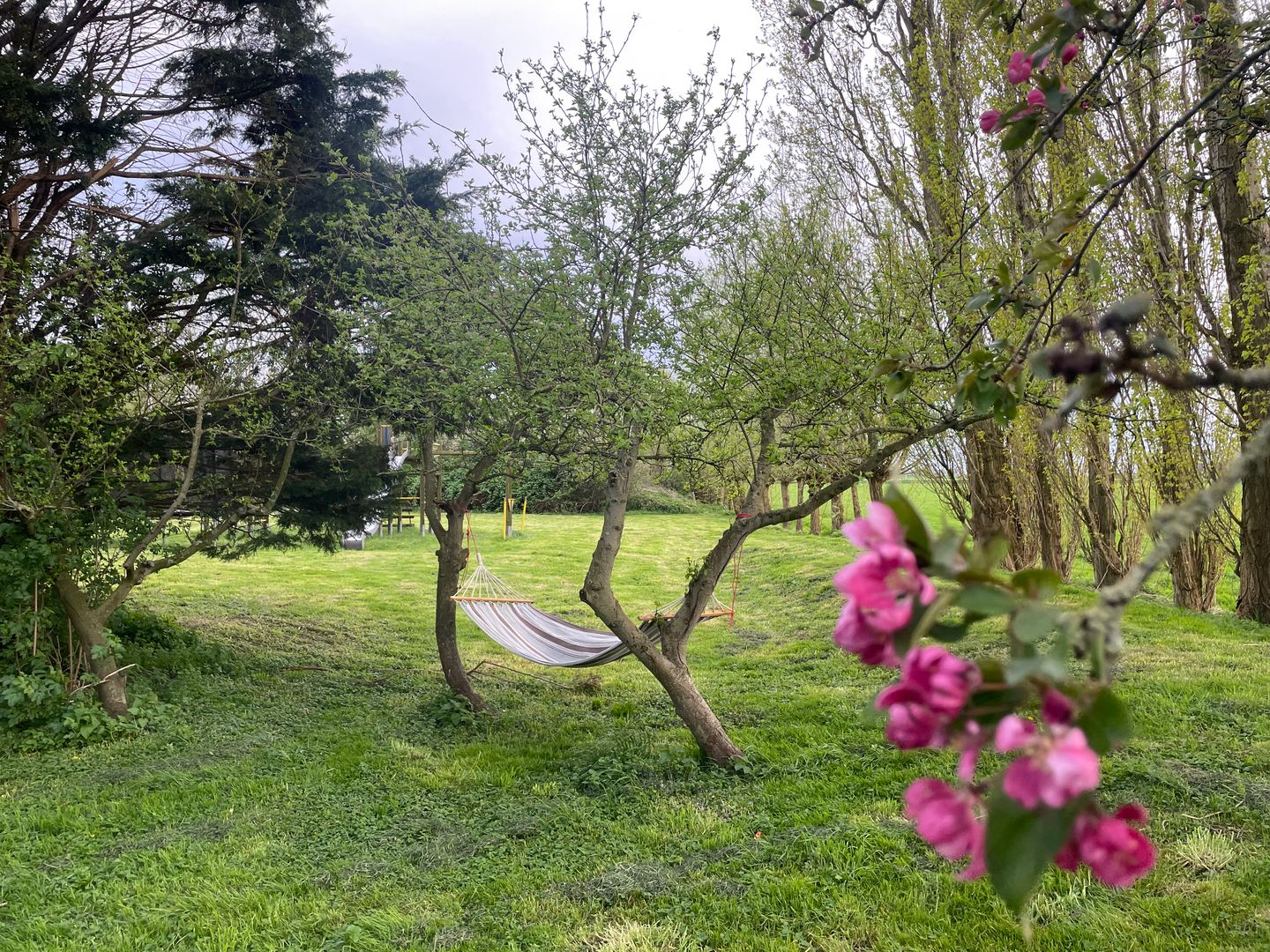 Blikvanger Dijk van een familiehuis aan open vaarwater met geweldig grote tuin — 46