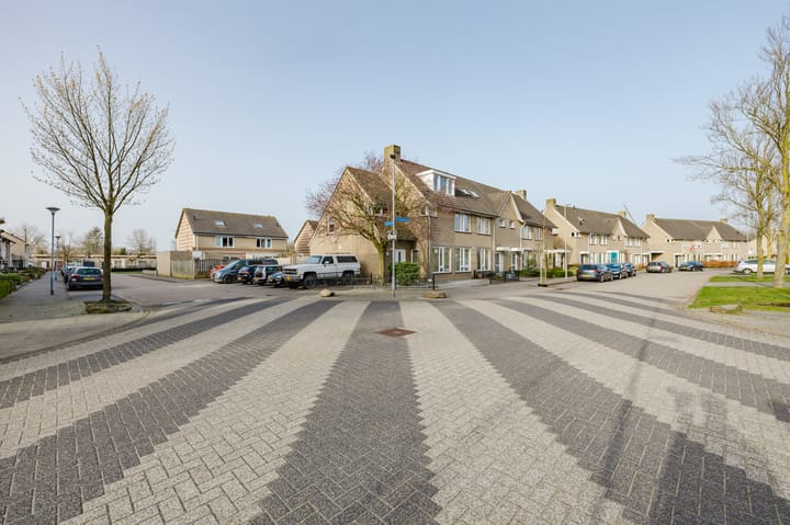 Foto 4 van de Lentenier 1