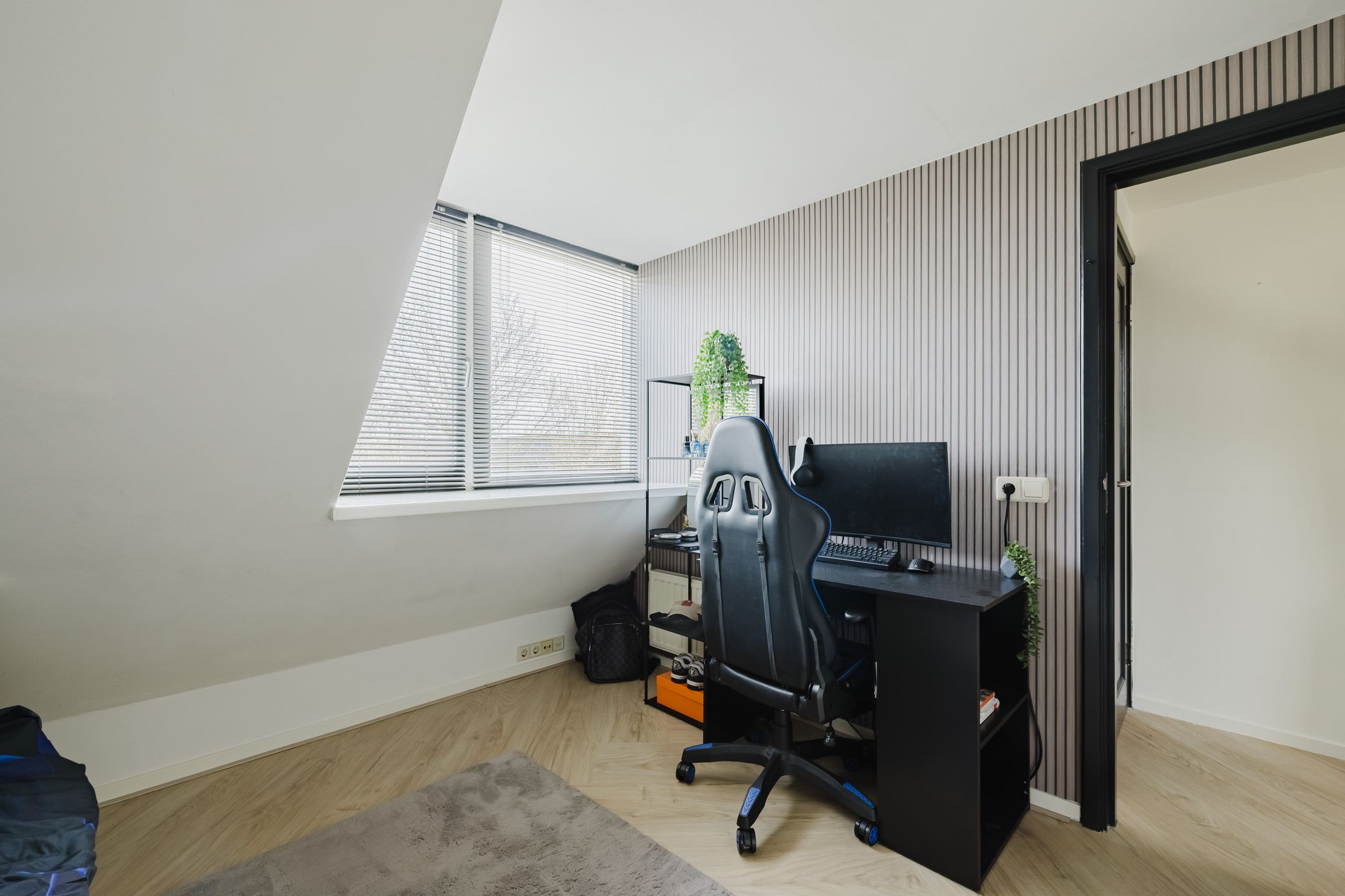 Foto 48 van de Lentenier 1