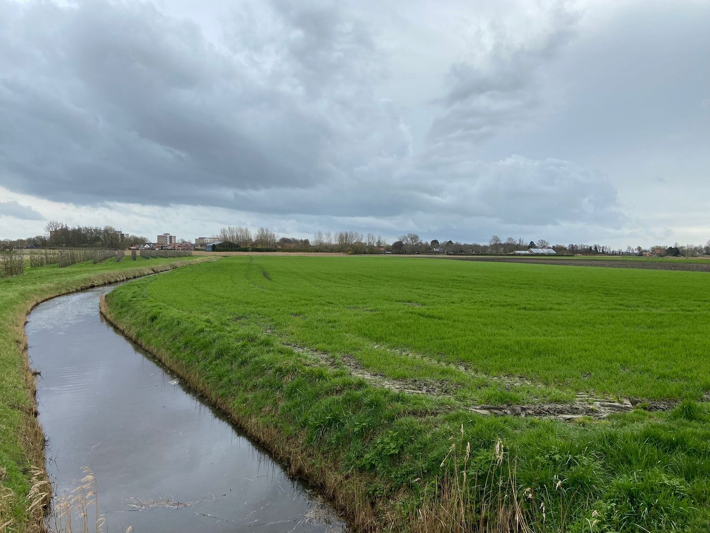 Bekijk foto 4 van Schotelweg