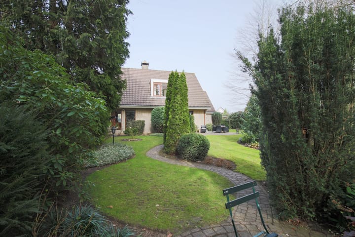 Photo 4 of Stormvogel 18