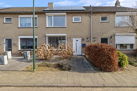 Heer van Rodestraat thumbnail