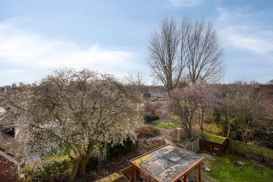 Photo 38 of Berliozrode 36