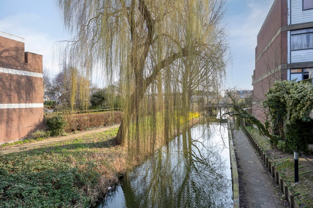 Photo 47 of Berliozrode 36