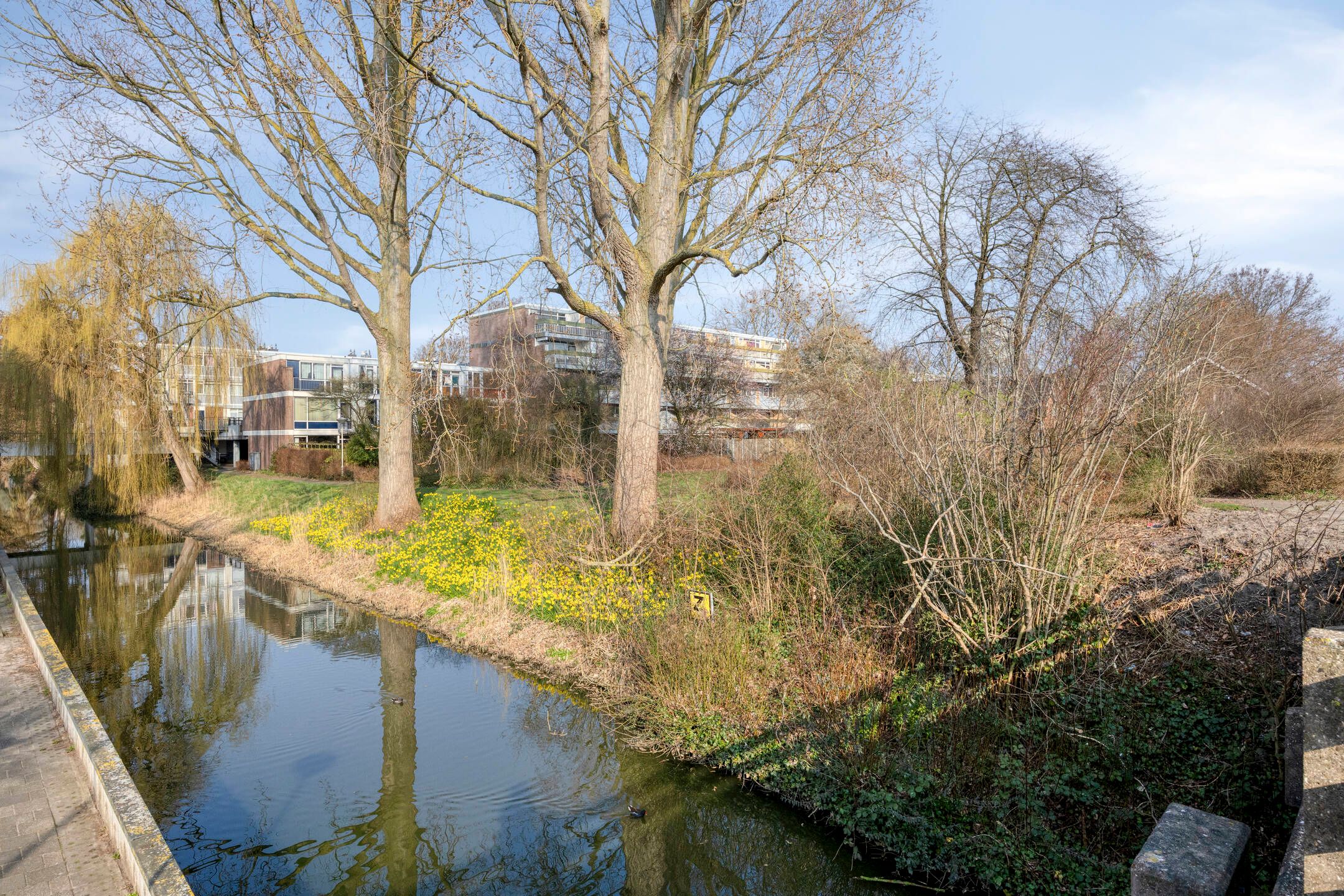 Photo 48 of Berliozrode 36