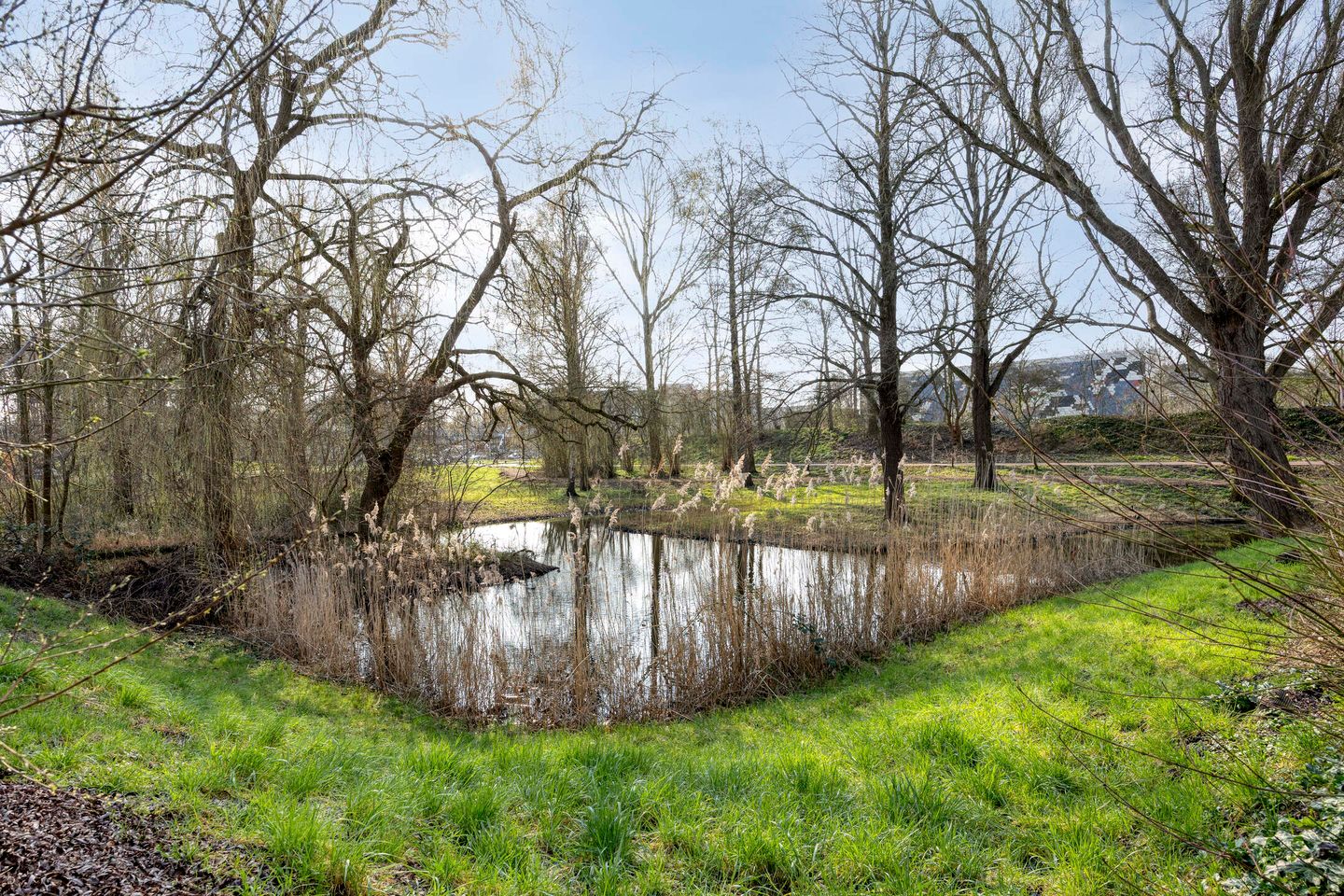 Photo 49 of Berliozrode 36