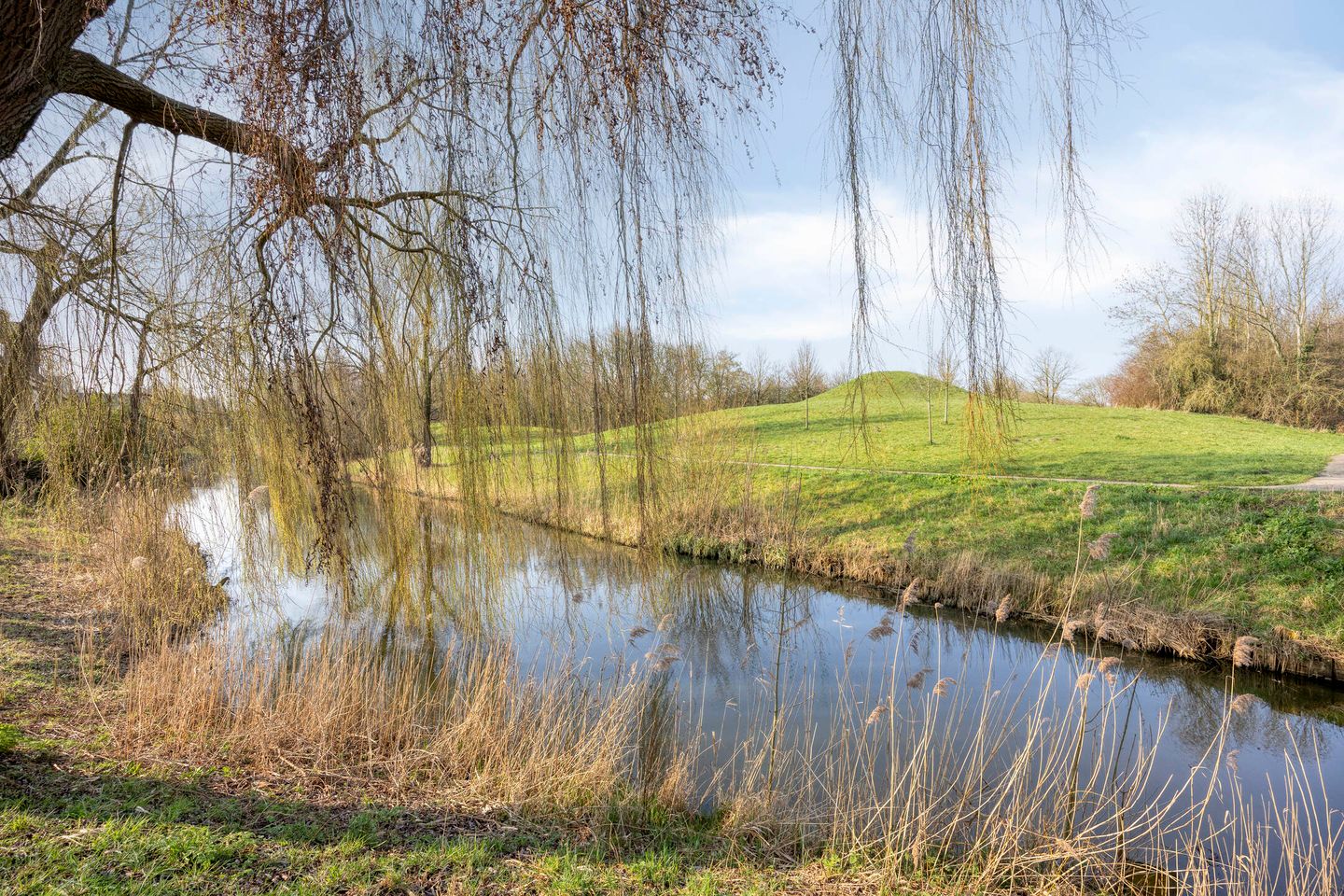 Photo 50 of Berliozrode 36