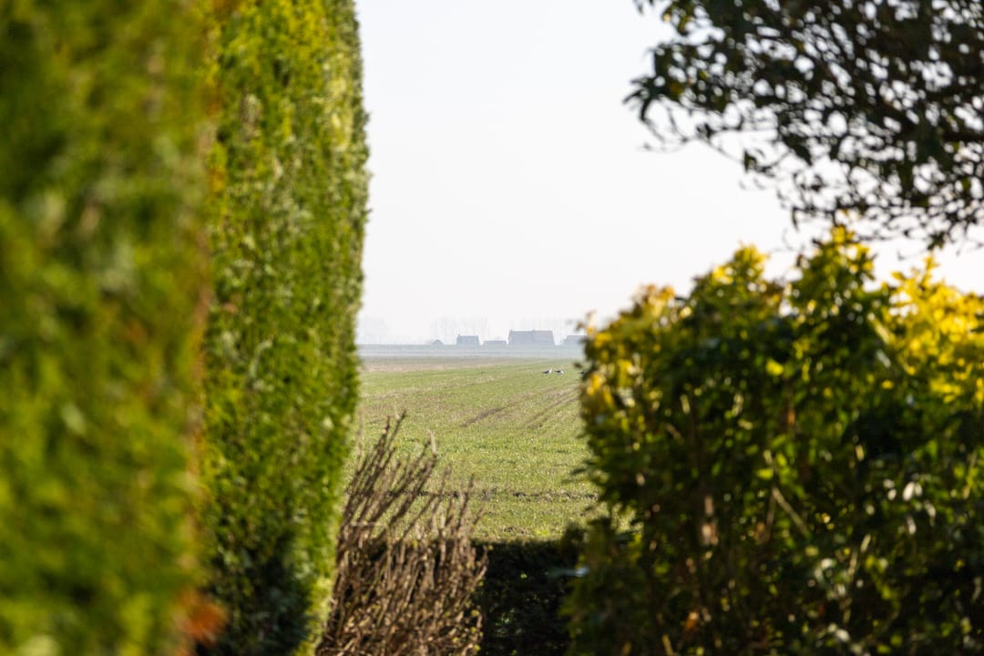 Foto 43 van Griete 15