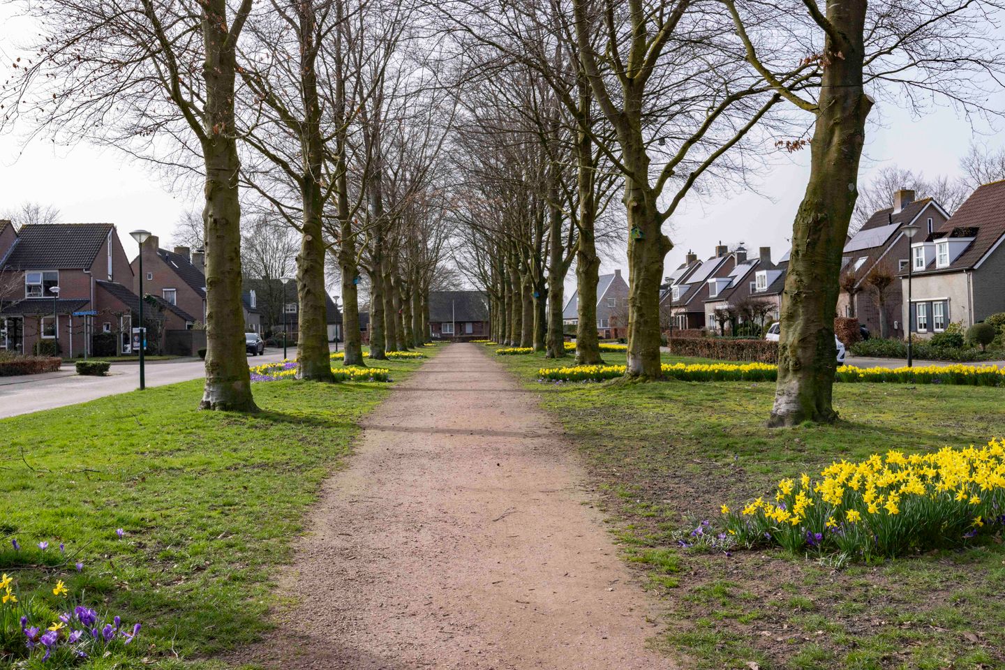 Photo 40 of Burg. Van den Oeverstraat 5