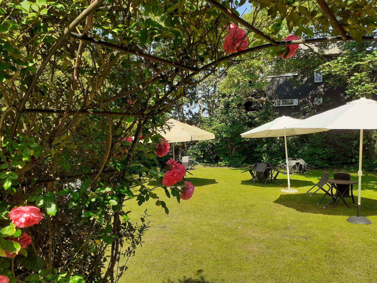 Bekijk foto 5 van Kerkstraat 30-A