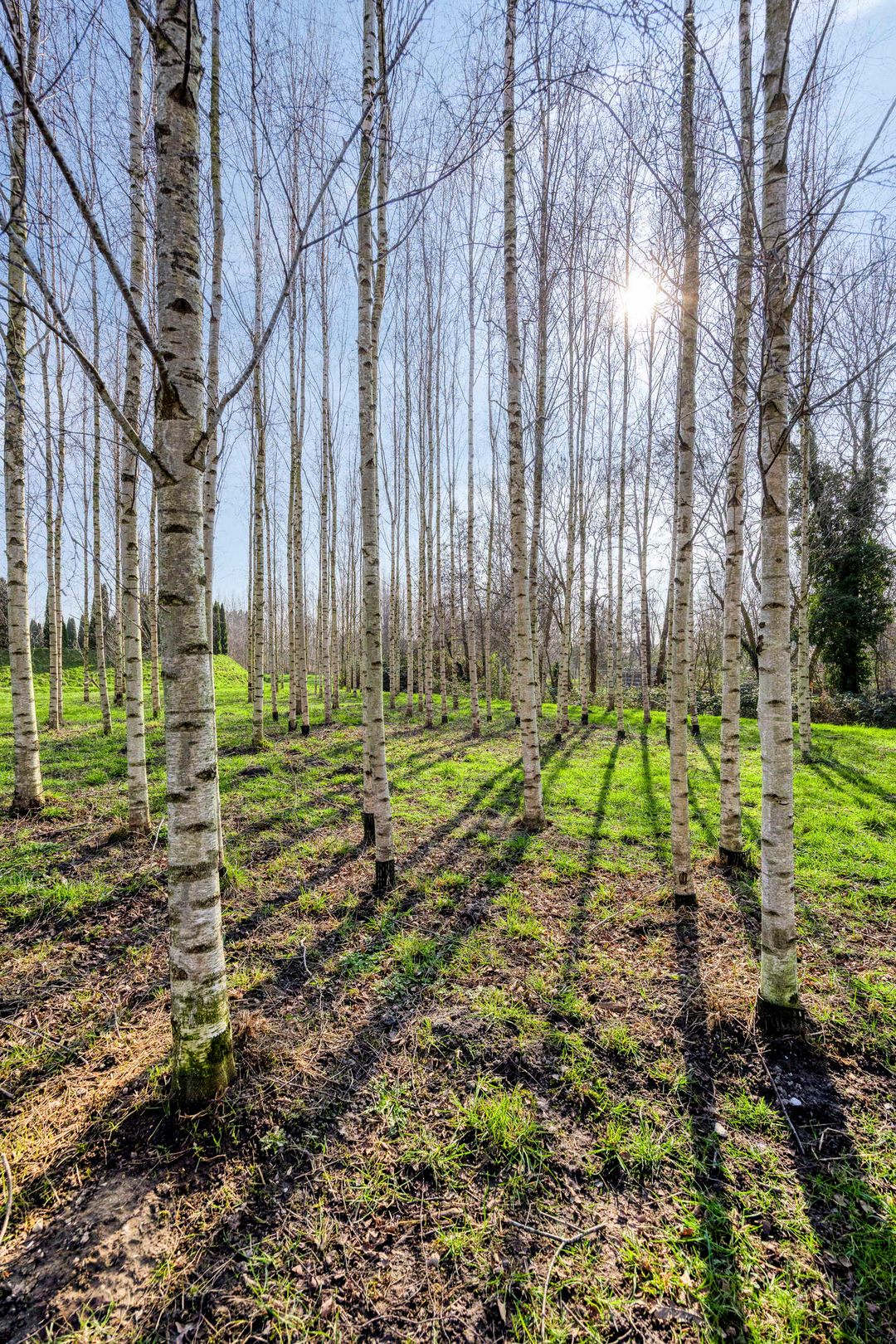 Foto 41 van Kasteelhof 15