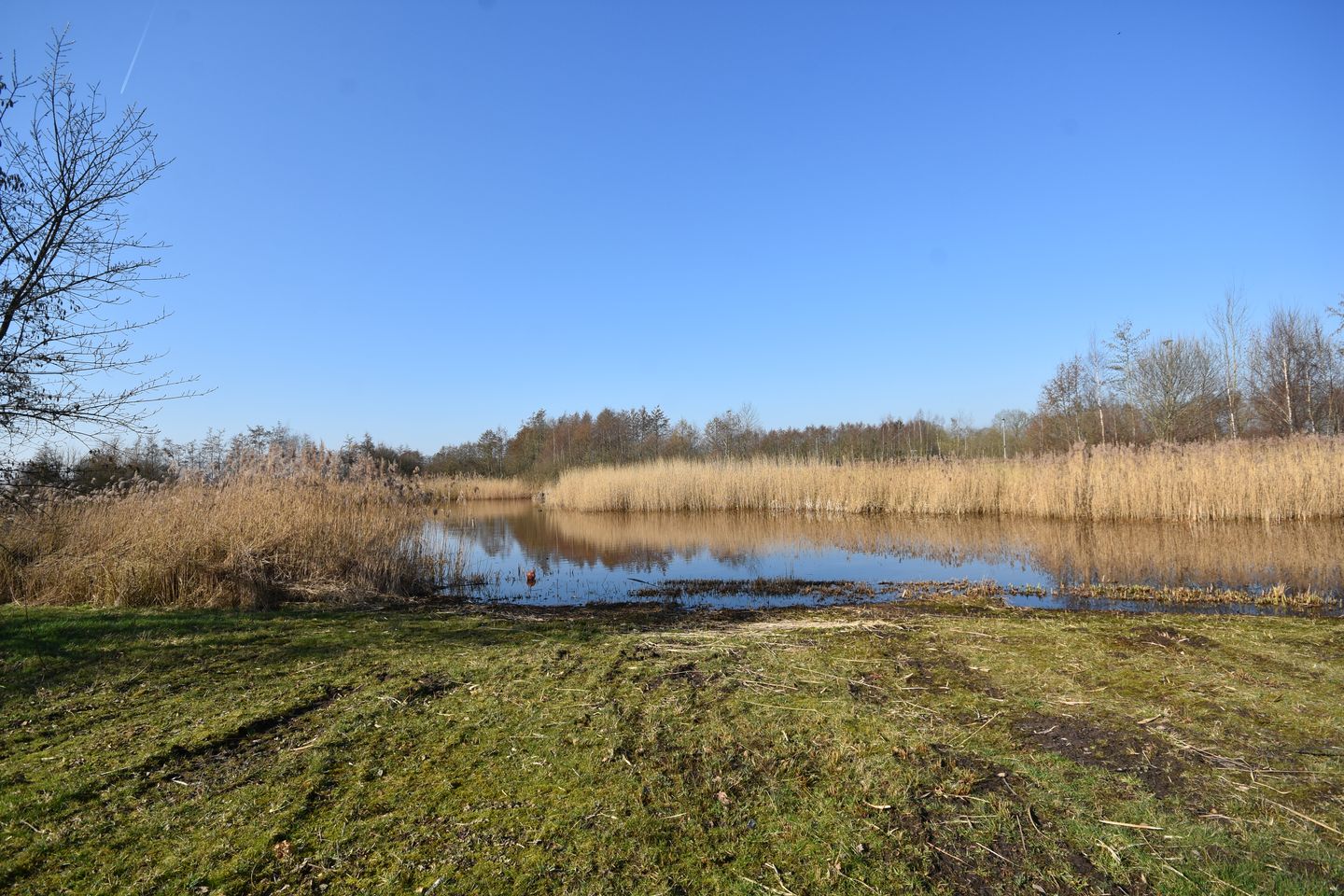 Foto 5 van Boskbei 3