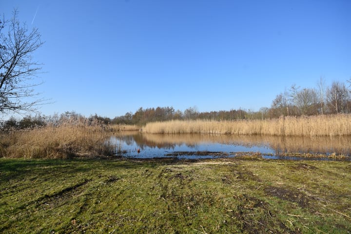 Foto 5 van Boskbei 3