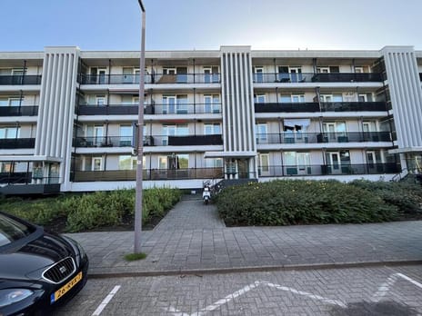 Rilland Bathstraat thumbnail